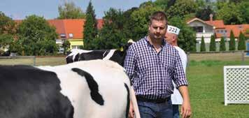ahol a végső sorrend kialakulása után az alábbi eredmény született: Holstein-fríz szűz üsző I.