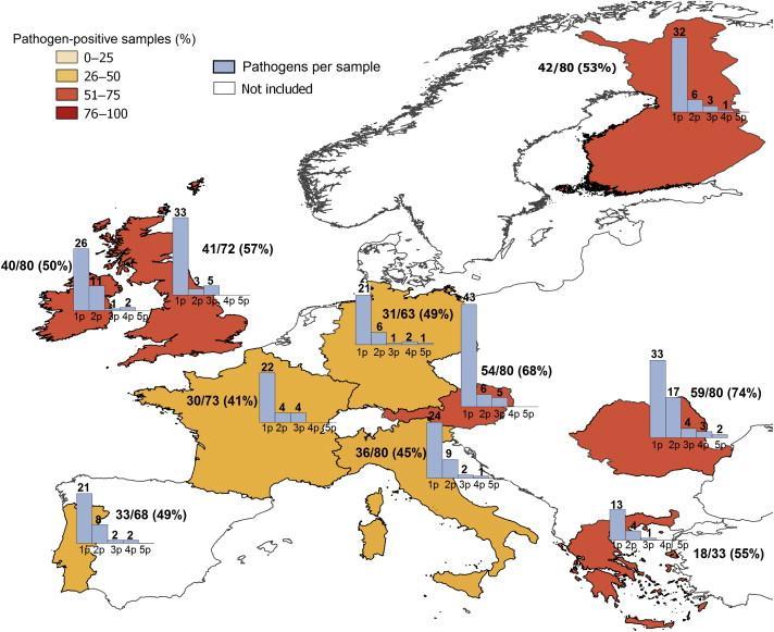 Clin Microbiol Infect 2015;21:719-728 Pozitív minták és