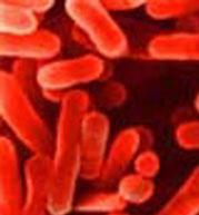 A hasmenéses megbetegedések kóroki diagnosztikája, nehézségi: A