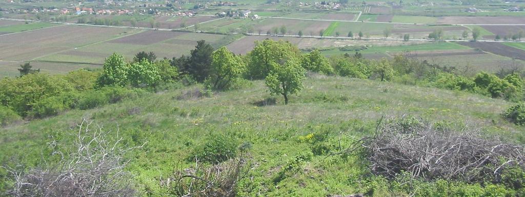 (működőképességének) és LÁTVÁNYÁNAK (a tájképnek) a