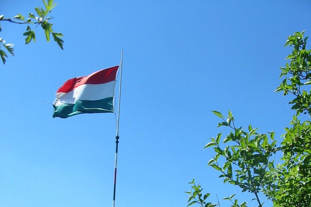 A szakhatósági állásfoglalás formai és tartalmi elemei Tartalmilag a konkrét beadvány keretei között kell maradni Két fő rész: -