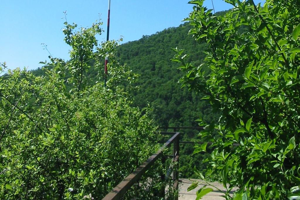 Rendelkező rész: annak rögzítése, hogy a szakhatóság - megadja a hozzájárulást a kérvényhez - kikötésekkel adja meg a hozzájárulást