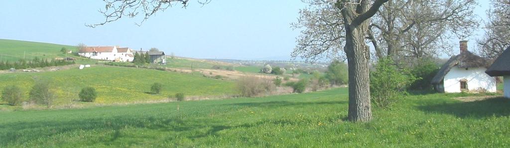 Törvény hatálybalépés: 2008 február 1-el adódó kötelezettségek
