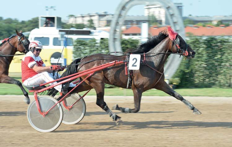 GALÉRIA K SZEGI-KOVÁCS