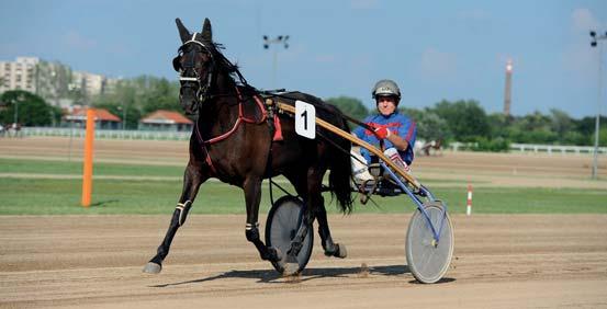 HÍREK Szabó Lajos Droszti Emlé verseny Lucával a harmadik helyen értek célba. Old Boys Hendi ep 2012: I. Keep Smiling (id. Márton Lajos) 1900 m Autóstart - 1.16.