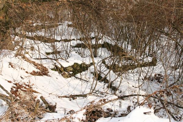 Római kor A bennszülött kelta törzsek telepeinek továbbélése mellett további újabb ek, valamint számos villa rustica, valamint az ezekhez tartozó temetők leletanyagával kell számolni a ból Pomáz