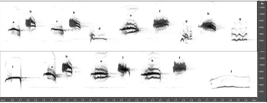 VASKUTI É. et al. nözve a hímet éneklésre, és standardizálva a felvétel körülményeit.