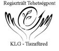 készség; - problémamegoldó készség; - algoritmikus gondolkodás; - önálló munkavégzés; - alkotó munka; - az informatika és a társadalom kölcsönhatásának ismerete; - kommunikációs készség.