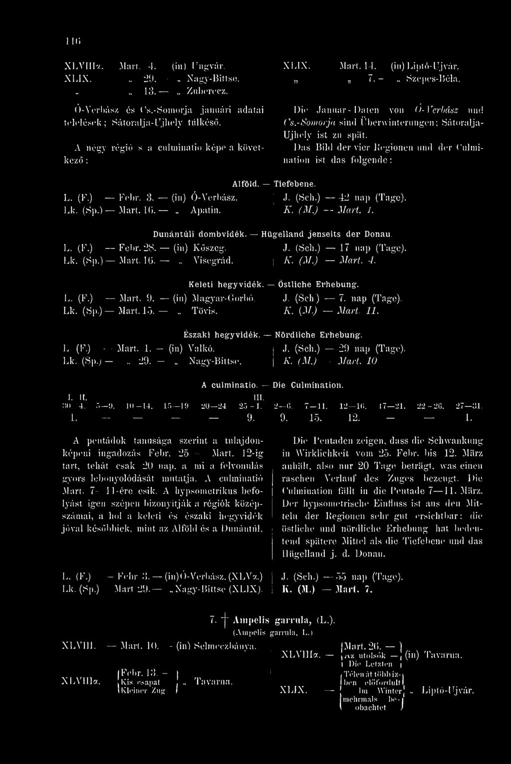 Das Bild der vier Regionen und der Culmination ist das folgende: L. (F.) Lk. (Sp.)- Febr. 3. Mart. 16. (in) O-Verbász. Apatin. Alföld. Tiefebene. J. (Seh.) - - 42 nap (Tage). K. (M.) - - Mart. J. Dunántúli dombvidék.