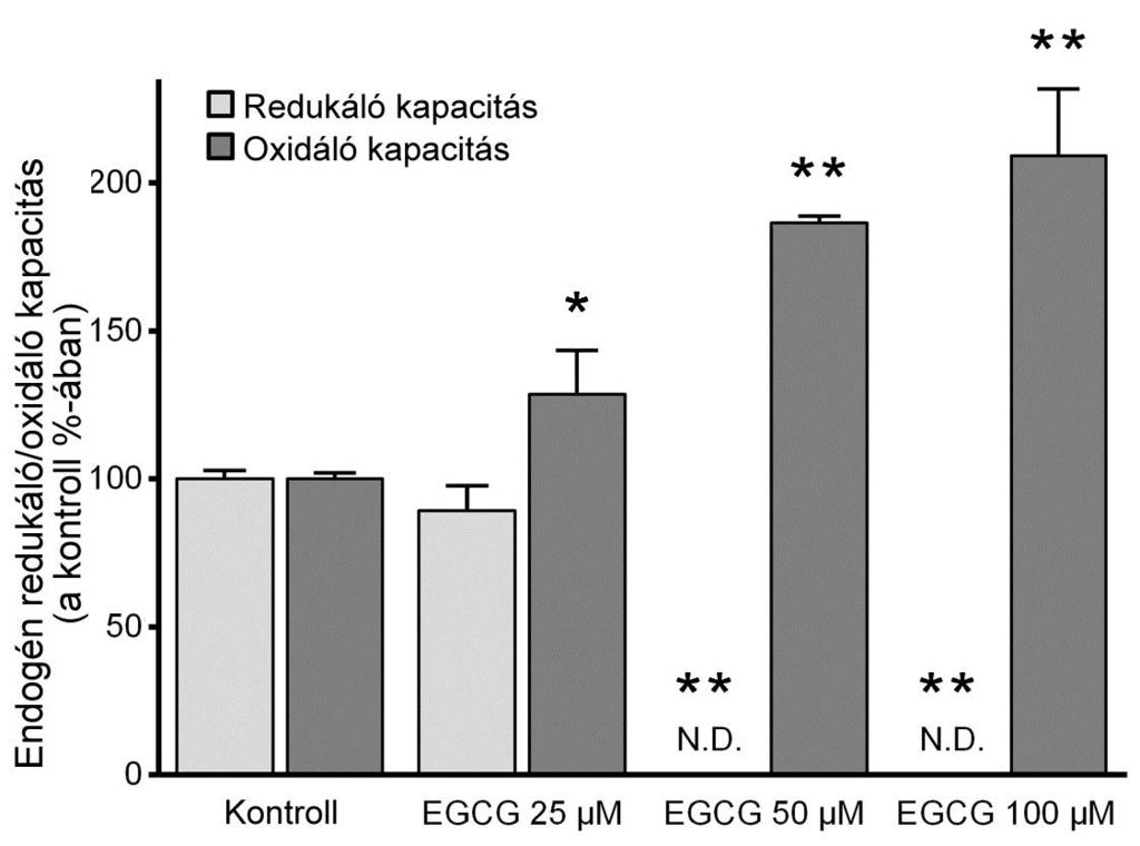 mértékben, a H6PD-ét egyáltalán nem befolyásolta a flavanol jelenléte [Szelényi et al., 2013]. Ezek után nem maradt más lehetséges támadáspont, mint a luminális piridin-nukleotidkészlet.