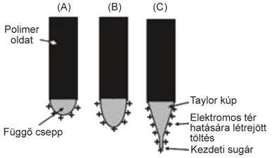 2015.01.18. MG009_2015 2. ábra. Taylor-kúp kialakulásának illusztrációja (A) Az elektromos tér felületi töltést hoz létre a polimer oldatban. (B) A függ!