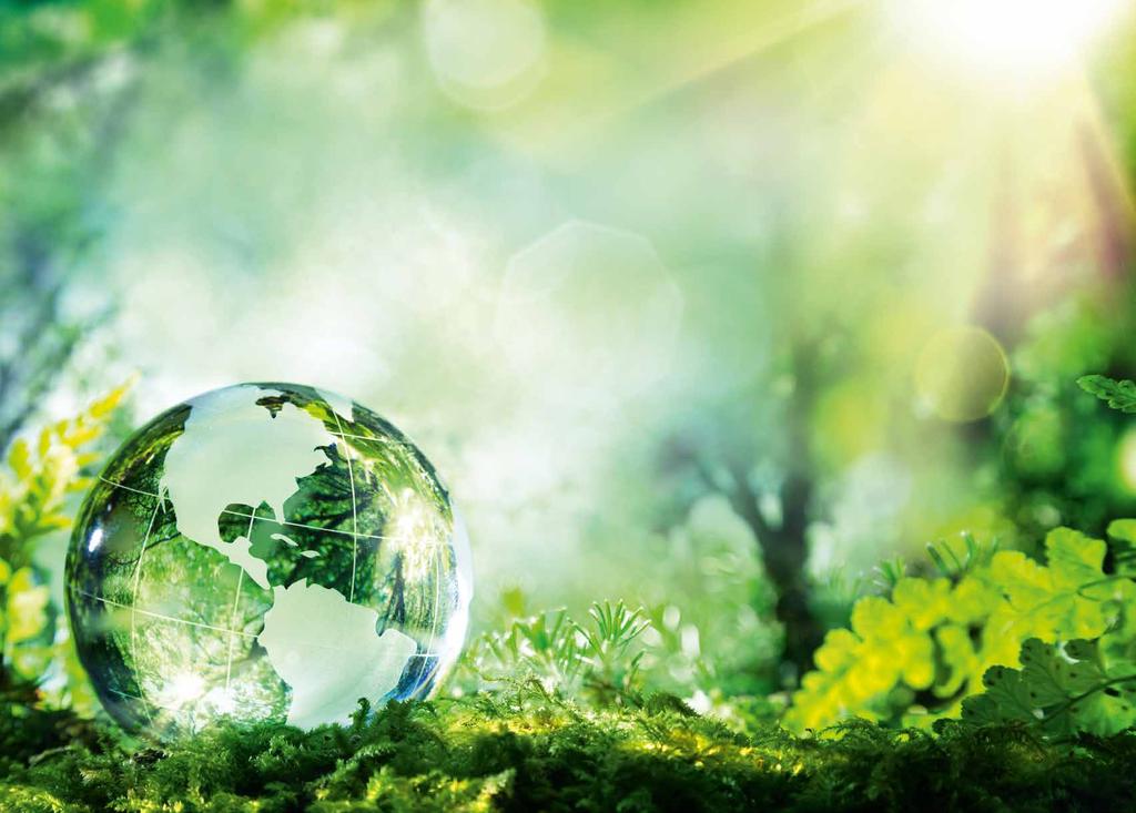 Green Spirit Amikor a lakossági veszélyérzet az olyan ökológiai problémák következtében megnövekszik, mint az üvegházhatás vagy a globális felmelegedés, akkor fokozódik a vállalat szociálpolitikai