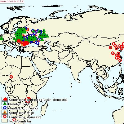 7. dia ASP a világban 2018. november Oroszországban a vírus házisertések közötti terjedéséért az emberi tevékenység tehető a legnagyobb mértékben felelőssé.