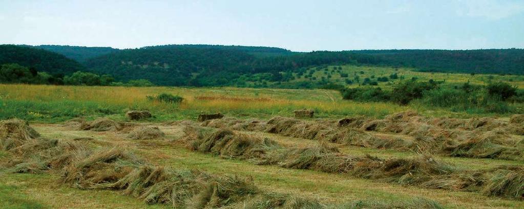 A Natura 2000 gyepterületekre trágya kijuttatása nem engedélyezett. Kizárólag az adott területen legeltetett állatok elhullajtott trágyájával lehetséges a tápanyag utánpótlás.