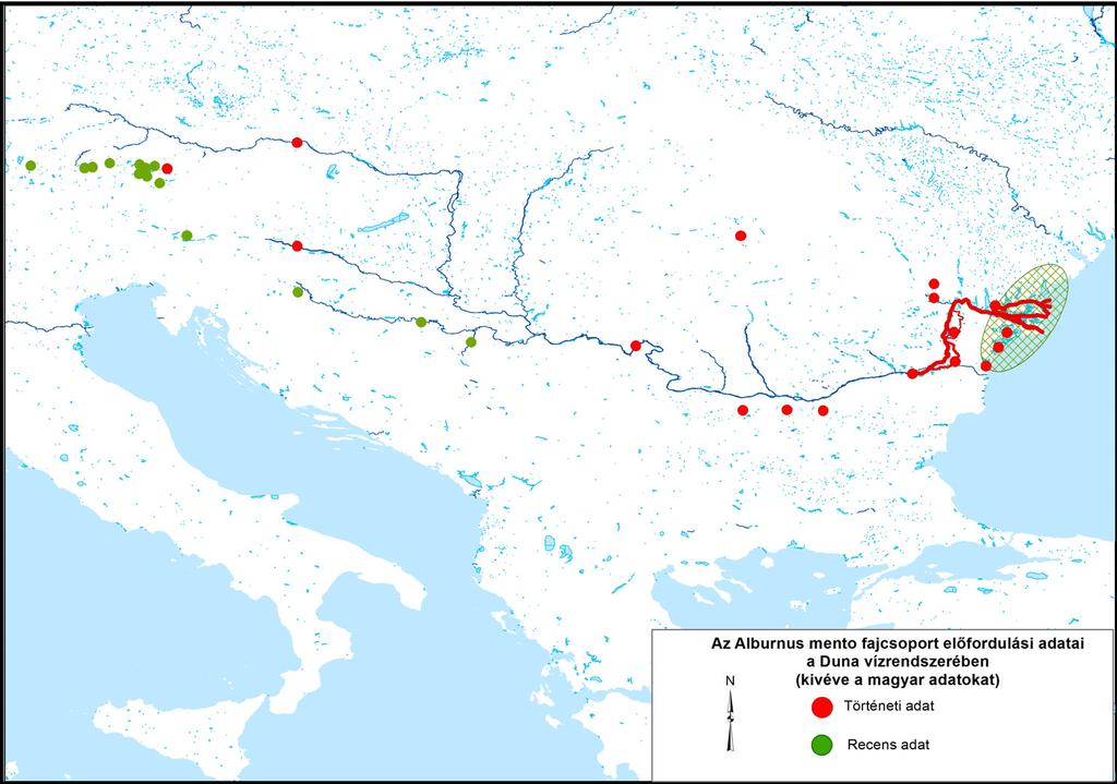 Duna felső szakaszának szubalpin tavaira korlátozódik, míg a Száva vízrendszerében, a Duna alsó szakaszán, ideértve a delta vidéket az Alburnus sarmaticus populációi élnek.