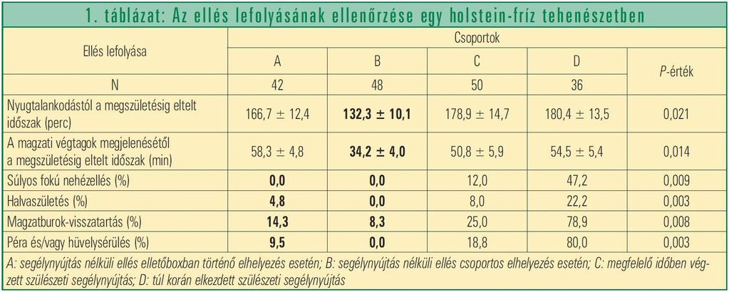 született borjú vizsgálatát végeztük el.