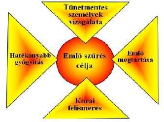 AZ EMLİSZŐRÉS MENETE Emlıszőrés minıségi mutatói (WHO) részvételi arány közel 70% visszahívási arány 10% alatt biopsziák száma kb.