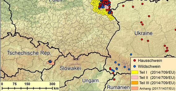 ASP első eset Csehországban 2014 óta vizsgálják a vaddisznókat 1.