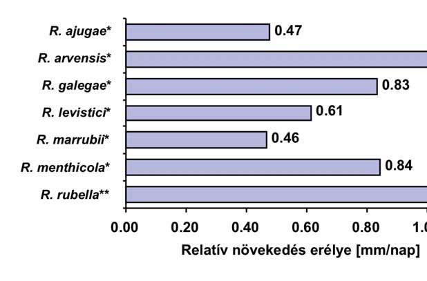 EREDMÉNYEK ÉS MEGVITATÁS 34. ábra. A Ramularia fajok növekedése 24 C h mérsékleten LMA (*), illetve MEA (**) táptalajon 4.