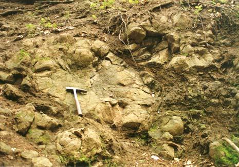 Magmás kőzetek dia - 103 /113  130 millió éves, tengerrel borított