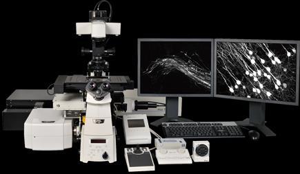 Két-foton és light sheet mikroszkópos technikák A növénybiológiai kutatások egyik nagy nehézsége, hogy az élő biológiai minta mélyebb részeire nem lehet belátni a klasszikus fénymikroszkópos