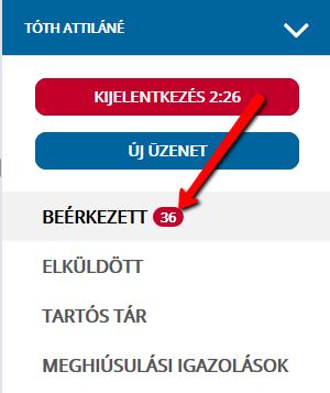 A Dokumentumtípus, leírásai alatt található dokumentum bármelyikére rákattintva, az üzenet részletei külön ablakban tekinthetők meg.