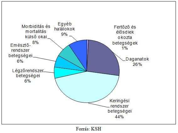 II. Általános halálozás Haláloki