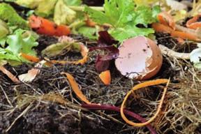 Növényeink egészségesebbek lesznek e termékeny talajon anélkül, hogy gazdaboltban költenénk el rá súlyos összegeket.