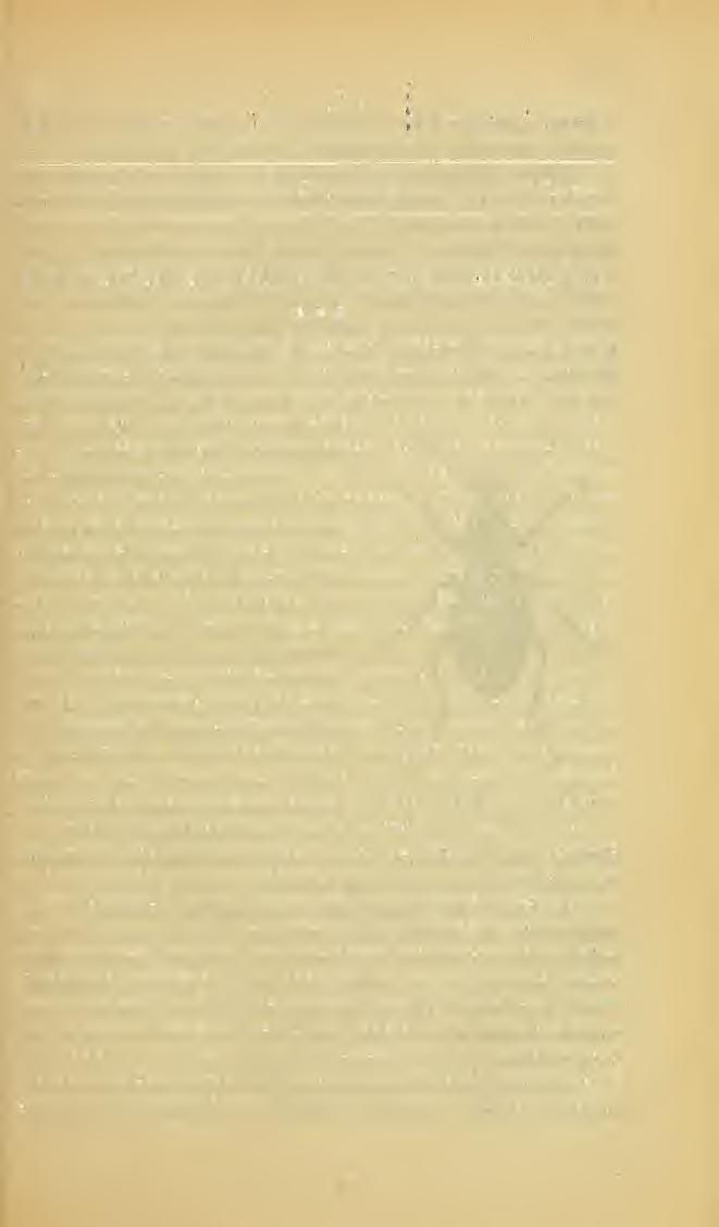Rovartani Lapok II. kötet. 1885. június. 6. füzet. A rovartan a budapesti országos kiállításon.