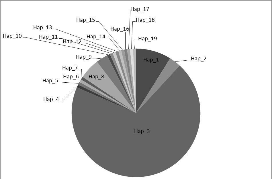 78 2. ábra: A velencei tavi ponty anyajelölt mitokondriális haplotípusainak gyakorisága Figure 2: The distribution of the Velence wild carp mitochondrial haplotypes 3.