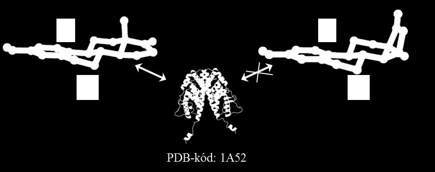 Ismert fehérjeszerkezet birtokában adott enzimre célzottan tervezhetők inhibitorok szubsztrátum és termék oldalról egyaránt.