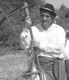 Hospodárenie podľa