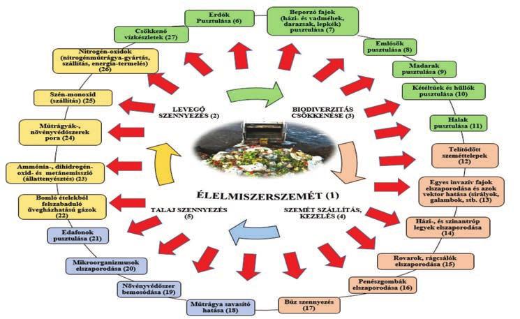 144 Hubert és Szűcs: A sertéshús eredetű élelmiszerpazarlás 2. ábra Az élelmiszerszemét keletkezésének hatástérképe II. Figure 2. The impact map of food waste formation II.