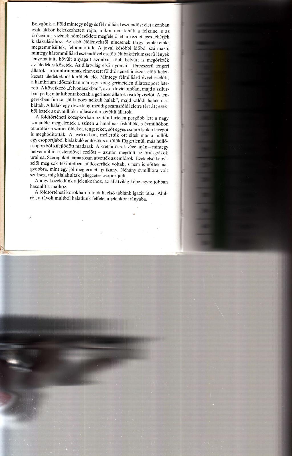 ó ö ó é é ő ó ű í ő ó é ő é é ő ó é ő é ő é ő é ü ó é ő ő ő ó ő ő é é ű é ö ü ö ü ő é ü é ő ő í í ö ö é ő ő é ő ü ő é é ő ő é ö ő í ő é ő é ü ó í é íé ö é é ő