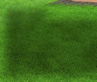 3343563 39 990 Ft Modell C 95x300 cm: Csz.