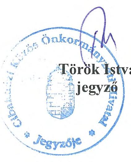 ) önkormányzati határozata a Cibakházi Lábbeli Gyártó Szociális Szövetkezettel bérleti szerződés megkötéséről Cibakháza Nagyközségi Önkormányzat Képviselő-testülete Magyarország Alaptörvénye 32.