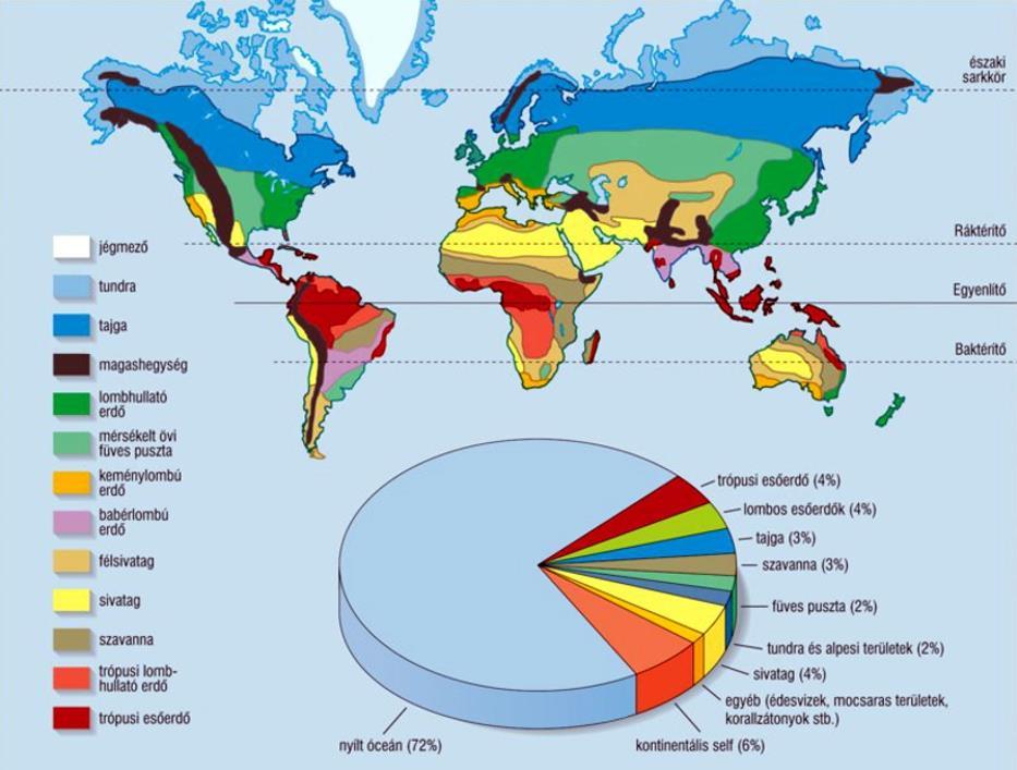 Tevékenység: Tanulmányozza a 3. ábrát, és azonosítsa a középiskolai tanulmányai során már megismert biomokat! 3. ábra. A biomok elhelyezkedése és területe a Földön (https://www.mozaweb.