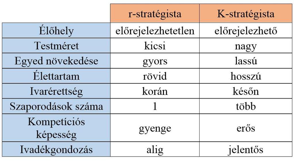 4. ábra. Az exponenciális és a logisztikus populációnövekedés görbéje A logisztikus modell azt feltételezi, hogy az egyedszám növekedésével csökken a populáció növekedési üteme.