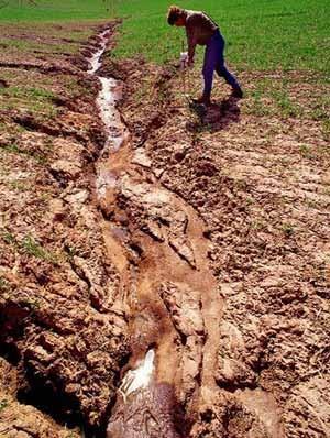 Tevékenység: 12. fénykép. Mezőgazdasági művelés okozta talajerózió Figyelje meg a műszaki talajvédelem eszközei és a talajerózió kiváltó tényezői közti kapcsolatot!