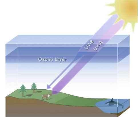 Az ózon a légkör 20-30 km magasságában köpenyszerűen veszi körül a földet, hőmérséklete eléri a 60 Celsius-fokot. A földi élet számára rendkívül fontos, mert kiszűri az UV sugarak legnagyobb részét.