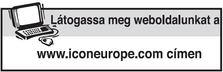 Modellszám: WEEVSY30810.0 Sorszám: Késıbbi hivatkozás céljából a fenti helyre írja be a sorozatszámot. FELHASZNÁLÓI KÉZIKÖNYV KÉRDÉSEK?