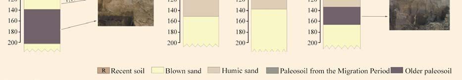 12650±2250 and 9900±1570 during the Pleistocene and early Holocene, thus the sand dune was formed by a thick sand layer within 2000-3000 years.