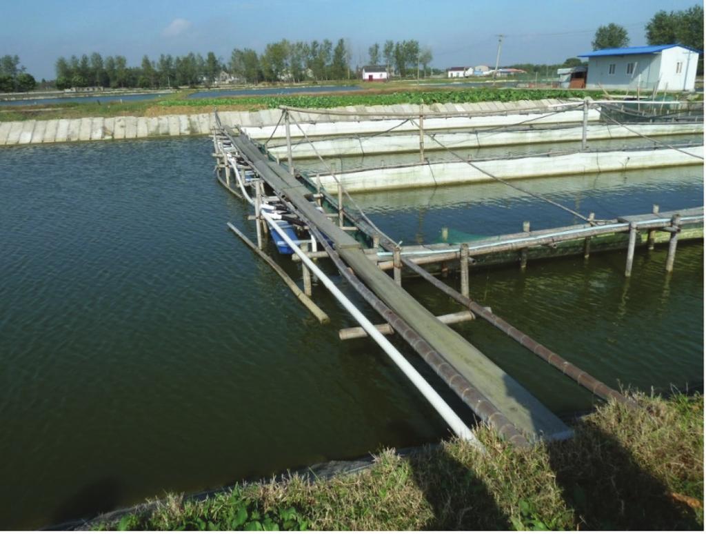 eleme a szakemberek csere látogatása. A Weilai Halszaporító Gazdaság 2001-ben jött létre és mára Csiangszu (Jiangsu) tartomány legnagyobb édesvízi halszaporító gazdasága.