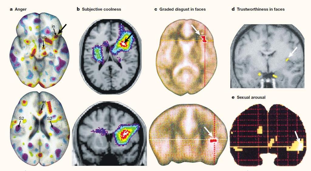 Érzelmek: anterior inzula boldogság, szomorúság, düh, félelem, szexuális izgalom, orgazmus, undor, zenehallgatás szeretet, szerelem,