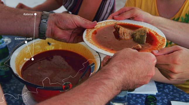 Szállás elfoglalása, korai vacsora, majd indulás a Szabad téri Játékok színterére a Dóm térre. Ott megtekintjük a 21 órakor kezdődő We will Rock You vagy Szerelmes Shakespeare c. előadást.