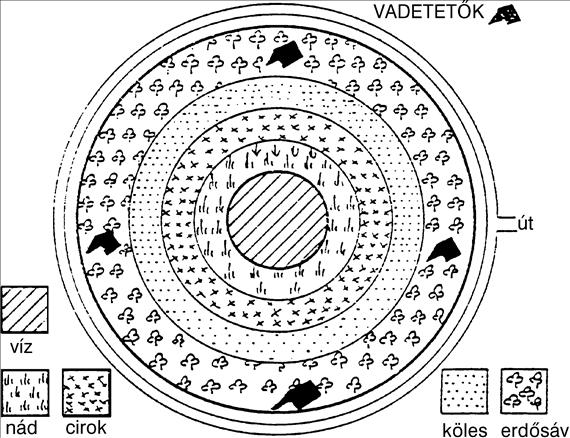 A mezei élőhely-gazdálkodás A meglévő nádszegélyek, -foltok védelme, megtartása a vadgazda elsőrendű feladata.