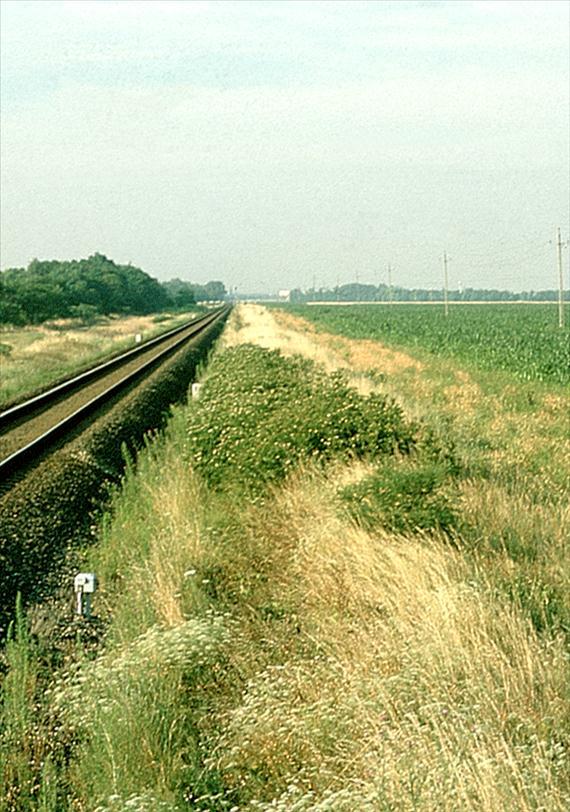 Vízi élőhely-gazdálkodás Füves vasútpart