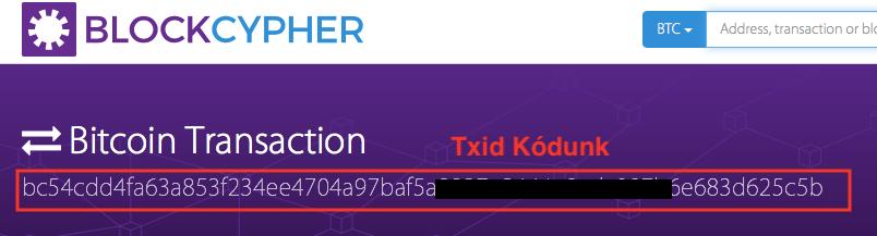 Minden egyes utaláshoz tartozik egy egyedi azonosító, ezt Txid-nek nevezzük, amit a következő képpen nézhetünk meg.