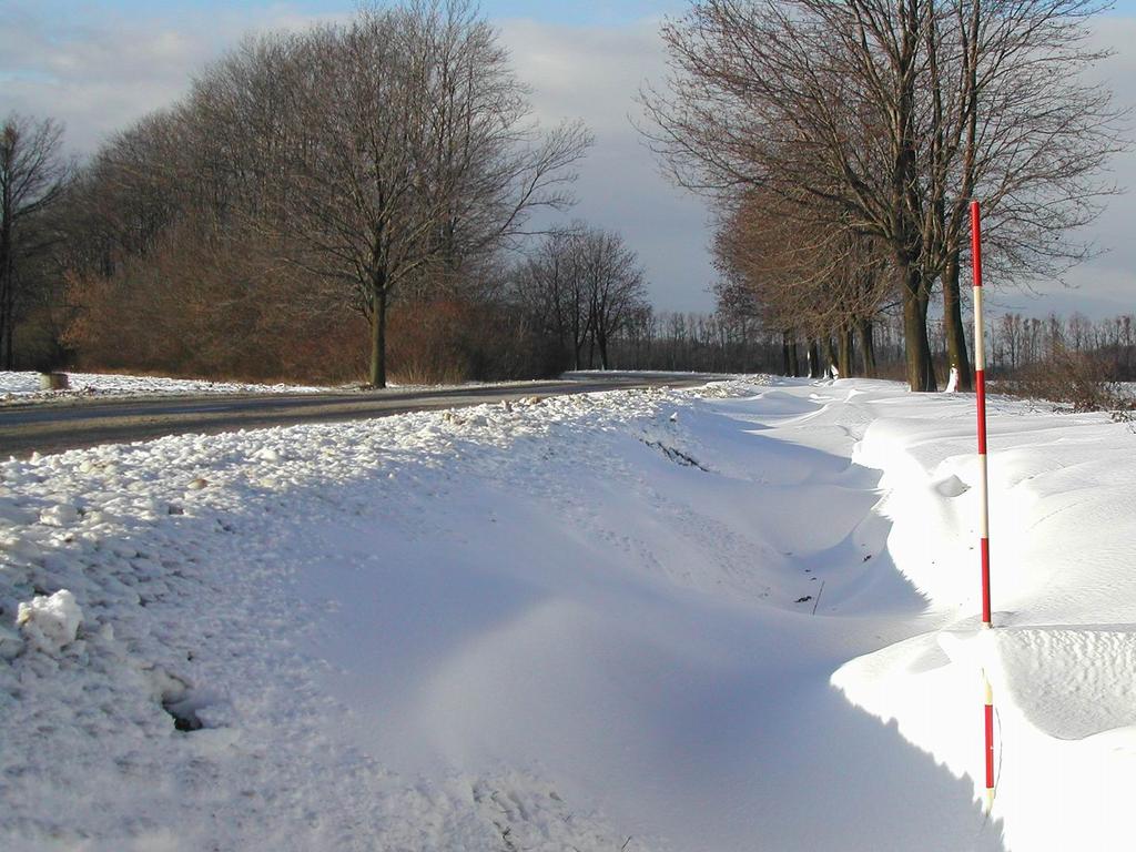 48. kép: Az utat szegélyező fa- vagy cserjesornak nagy jelentősége van a lerakódott hó megtartásában is (a szerző felvétele) közút koronája a kiemelkedő domborzati forma.