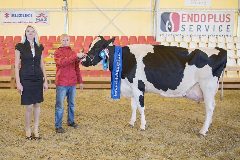 A kazsoki Bos-Frucht Agrárszövetkezet nevében Szaka Rita vezető vette át a díjat A holstein-fríz tehén III.